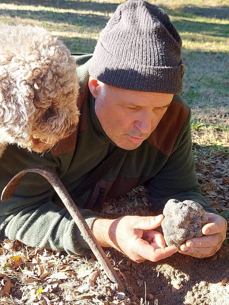 Gerald Calvier, Trufficulteur à Saint Paul Trois Châteaux Drôme
